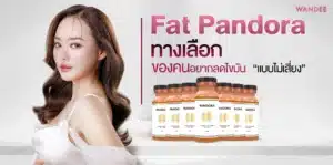 Fat Pandora พัทยา ทางเลือกของคนอยากลดไขมันแบบไม่เสี่ยง