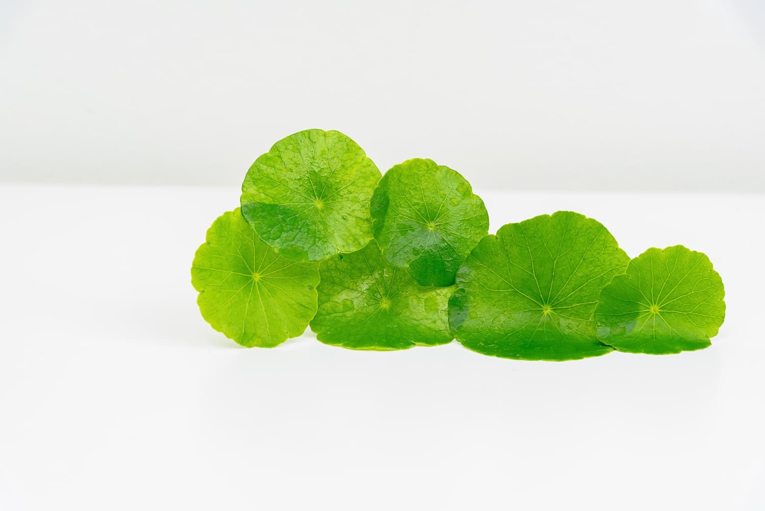 Centella Asiatica Extract สารสกัดจากใบบัวบก ช่วยขจัดอนุมูลอิสระ ช่วยลดบวม และรอยช้ำ
