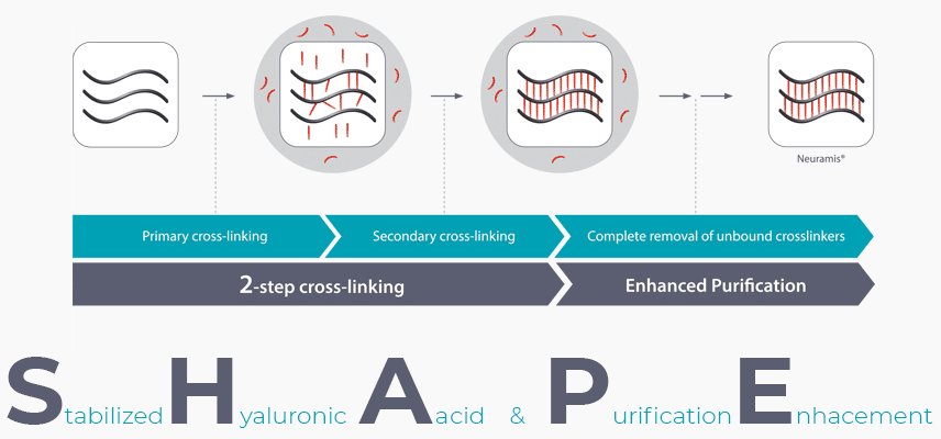 เทคโนโลยี SHAPE Technology (Stabilized Hyaluronic Acid & Purification Enhancement) ของฟิลเลอร์ Neuramis